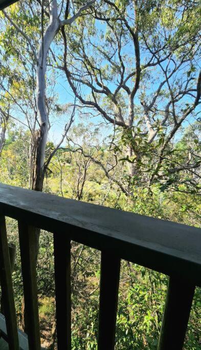 The Black Cockatoo - Secret Garden Treetops Home Катумба Екстериор снимка